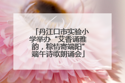 丹江口市实验小学举办“艾香诵雅韵，粽情寄端阳”端午诗歌朗诵会